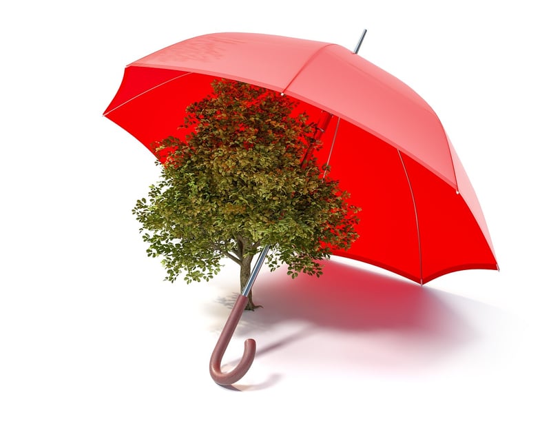 Eco-friendly design ideas