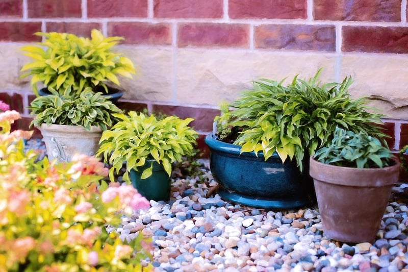 DIY Planter from Tin Can